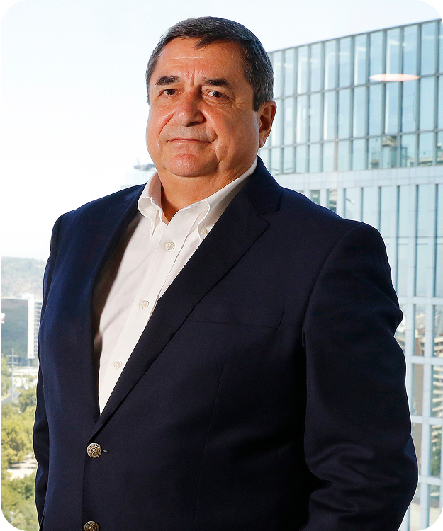 Presidente del Directorio